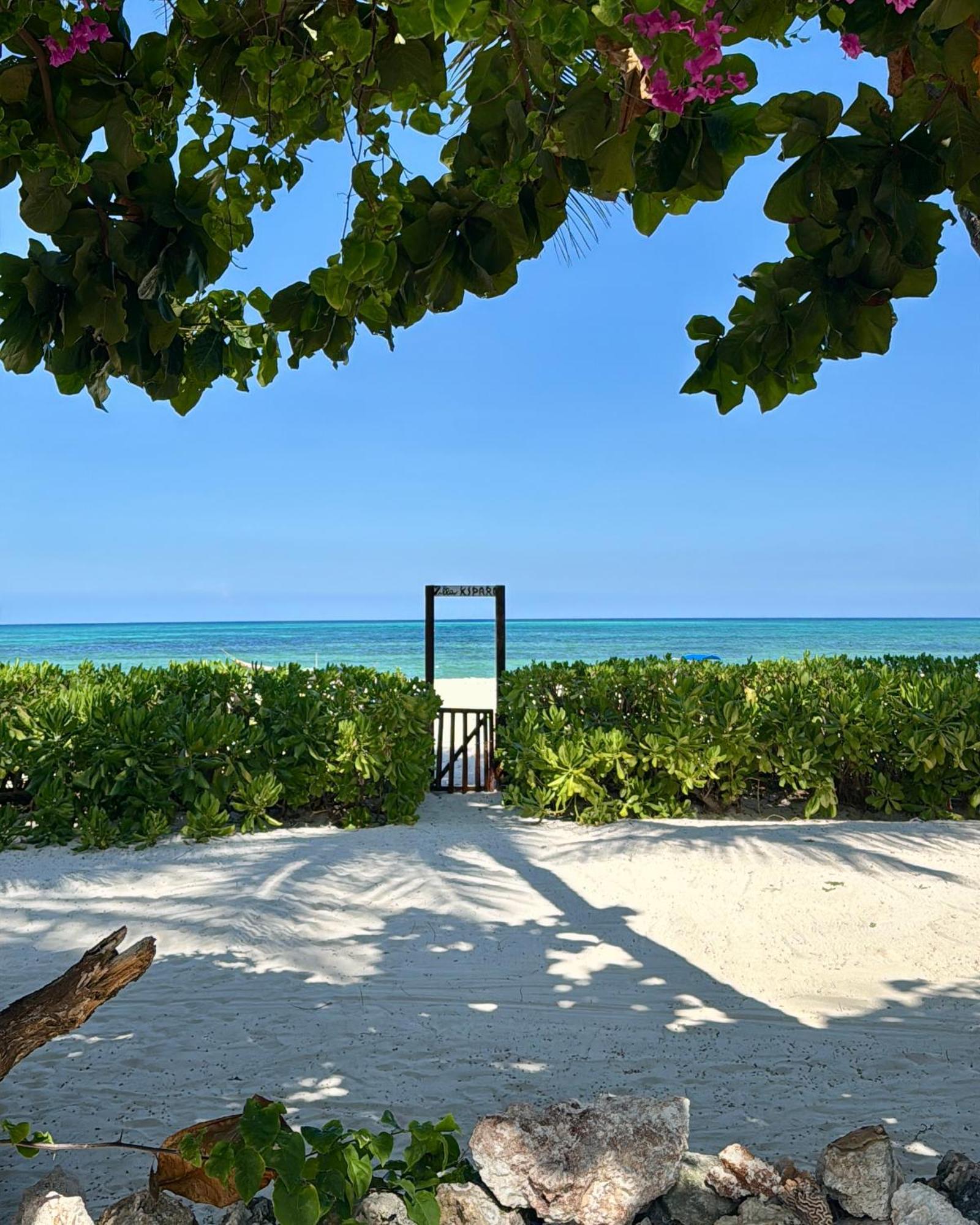 Villa Kipara - Private Beach & Pool Пвани-Мчангани Экстерьер фото
